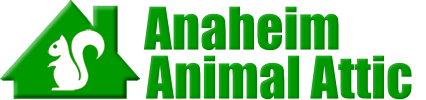 Anaheim Animal Attic